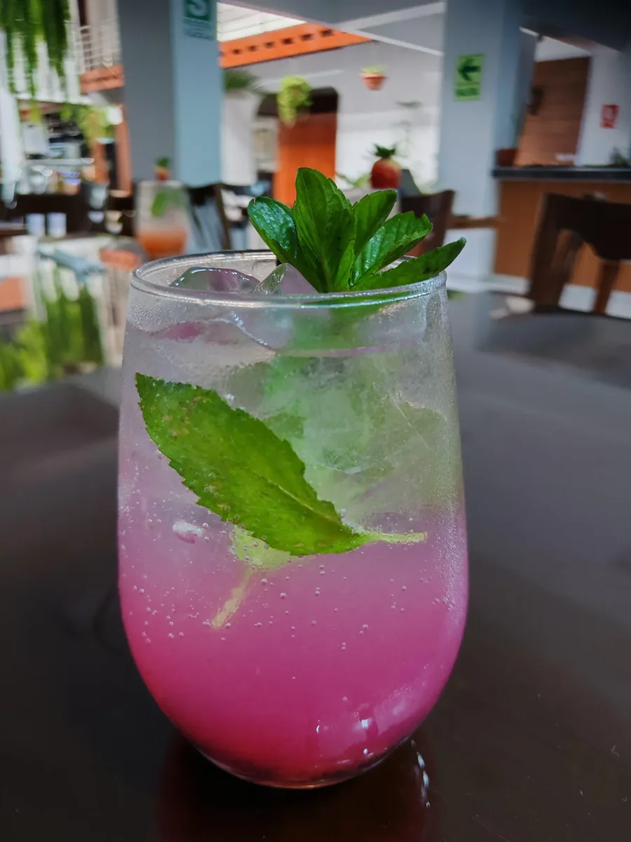 Cóctel de arándanos y menta con hielo frappé en Restaurante Guayusa